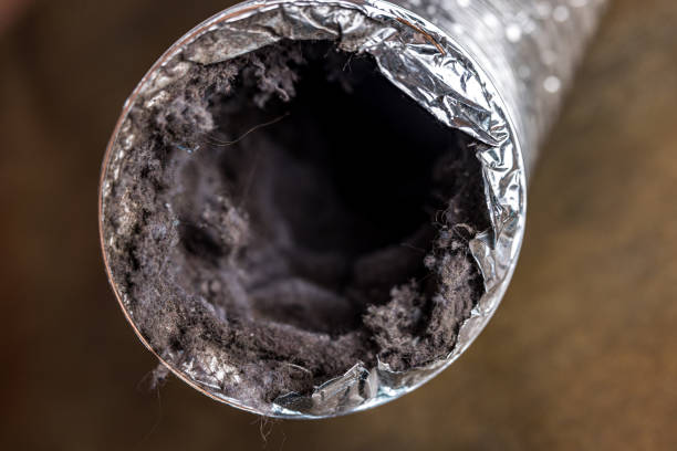 Best Air Vent Cleaning Services  in Eureka, MO